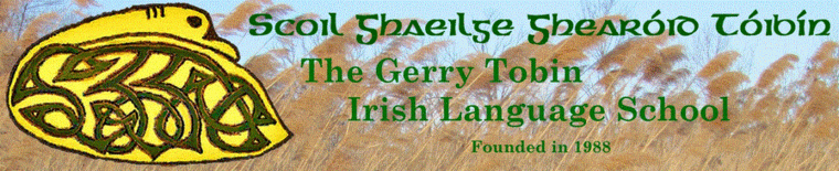 Gerry Tobin Irish Language School
