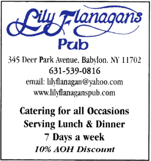 Go to the Lily Flanagans Pub website